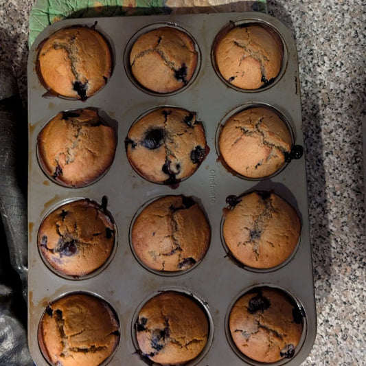 6-pack Sourdough Blueberry Muffins