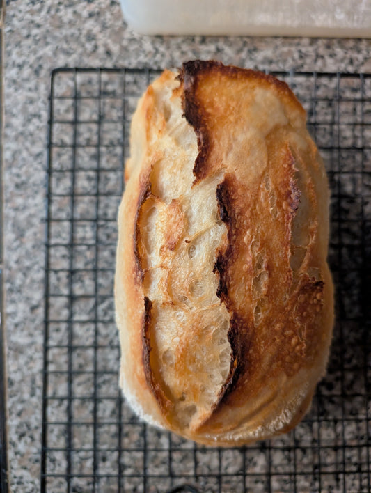Sourdough Mini Loaf