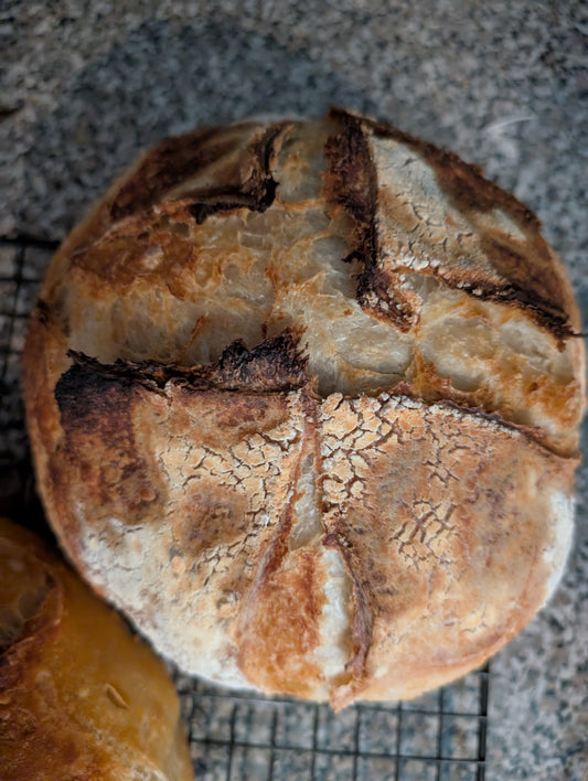 Sourdough Round Bread
